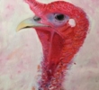 Turkey painting by Sybil Fix, oil on canvas, 28 x 33